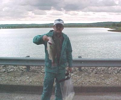 Clinton 1.jpg (21997 bytes)